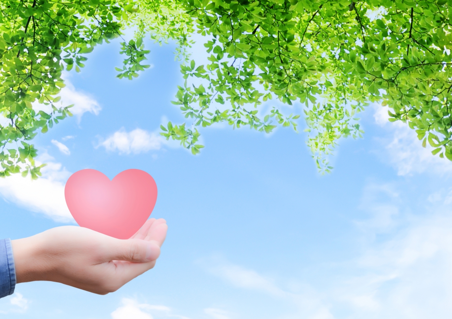 カスタマーハラスメント対応基本方針イメージ