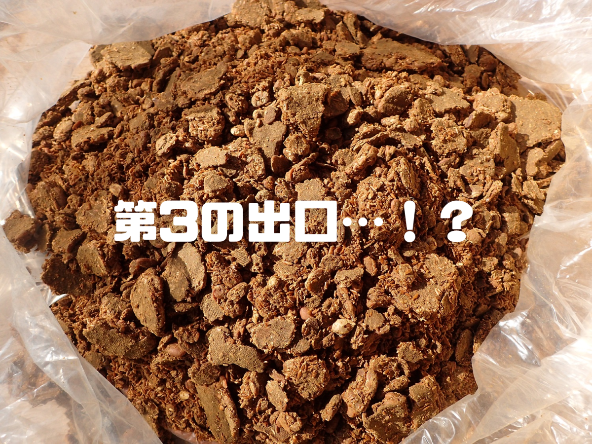 【作業事例紹介】食品残渣の新たな出口 ― セメント原燃料化という選択（リライフ）イメージ