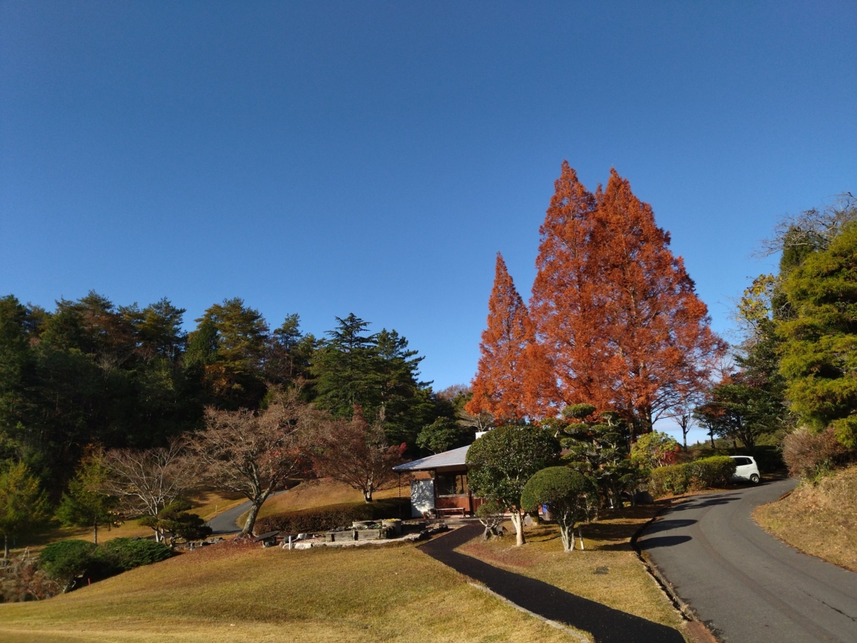 今年もラスト半月となりましたイメージ